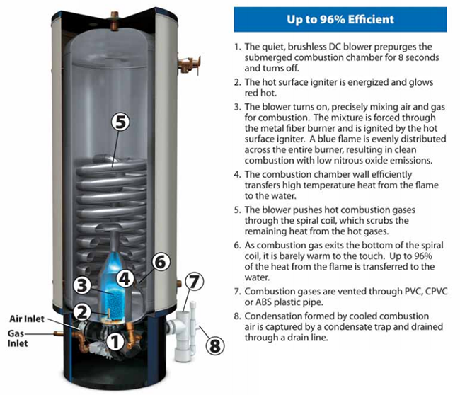 Polaris® High Efficiency Commercial Gas Water Heater cutaway