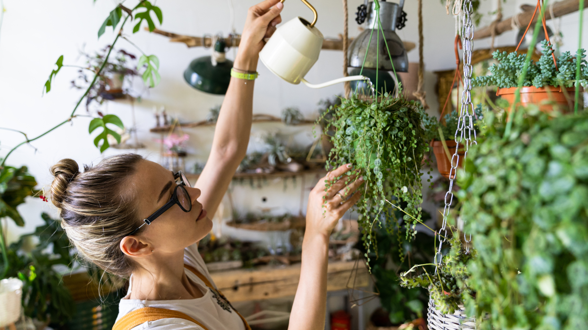 woman watering plants