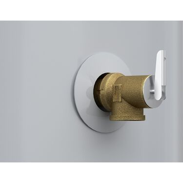 Proline&reg; MAX 66-Gallon Smart Hybrid Electric Heat Pump Water Heater wit Premium Smart Valve Technology