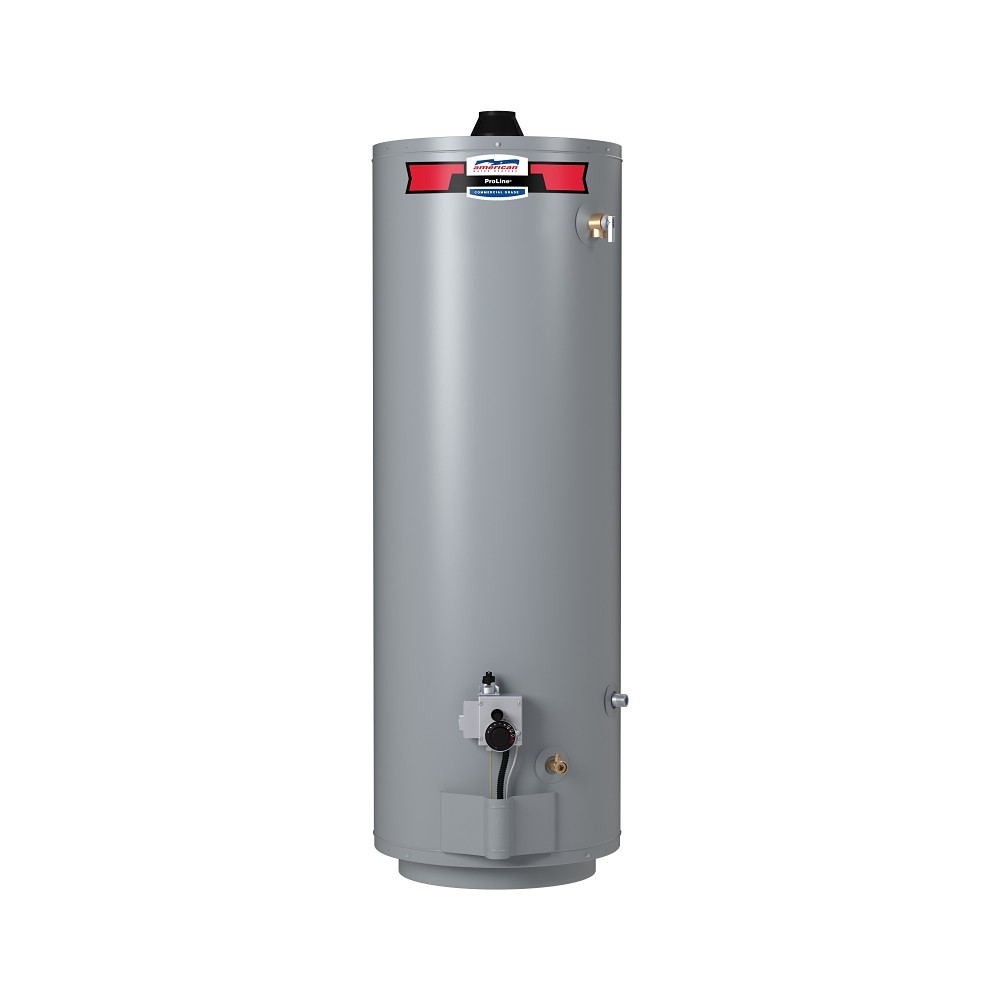 Paloma 温水器 PH-8SV MHDV-62-40T32-3NV - ProLine® 40-Gallon Mobile Home Direct Vent